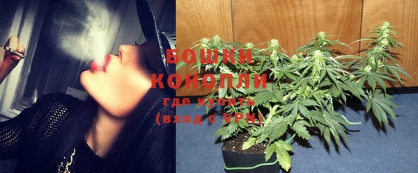 бошки Каменногорск