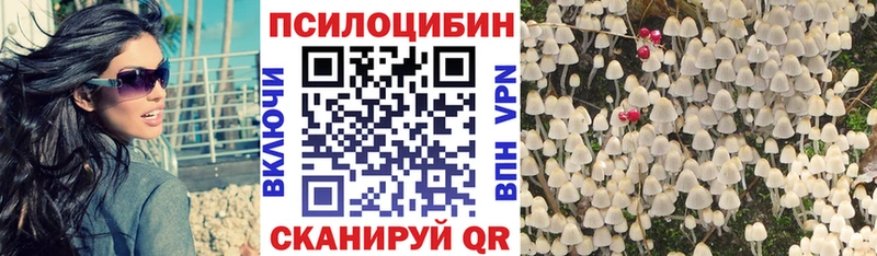 omg онион  Ачинск  Галлюциногенные грибы прущие грибы 